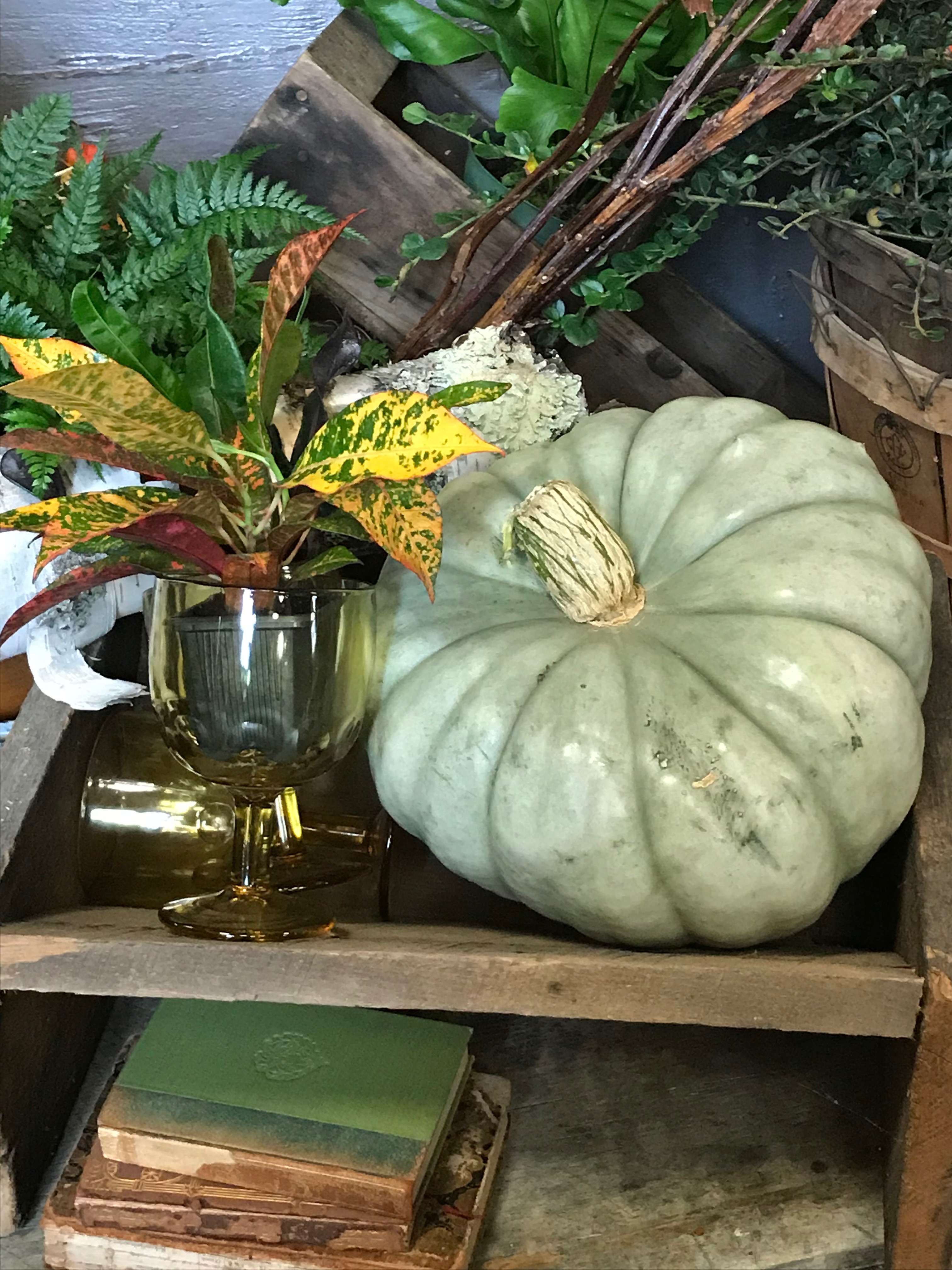 goblet used as a planter with ferns and pumpkins