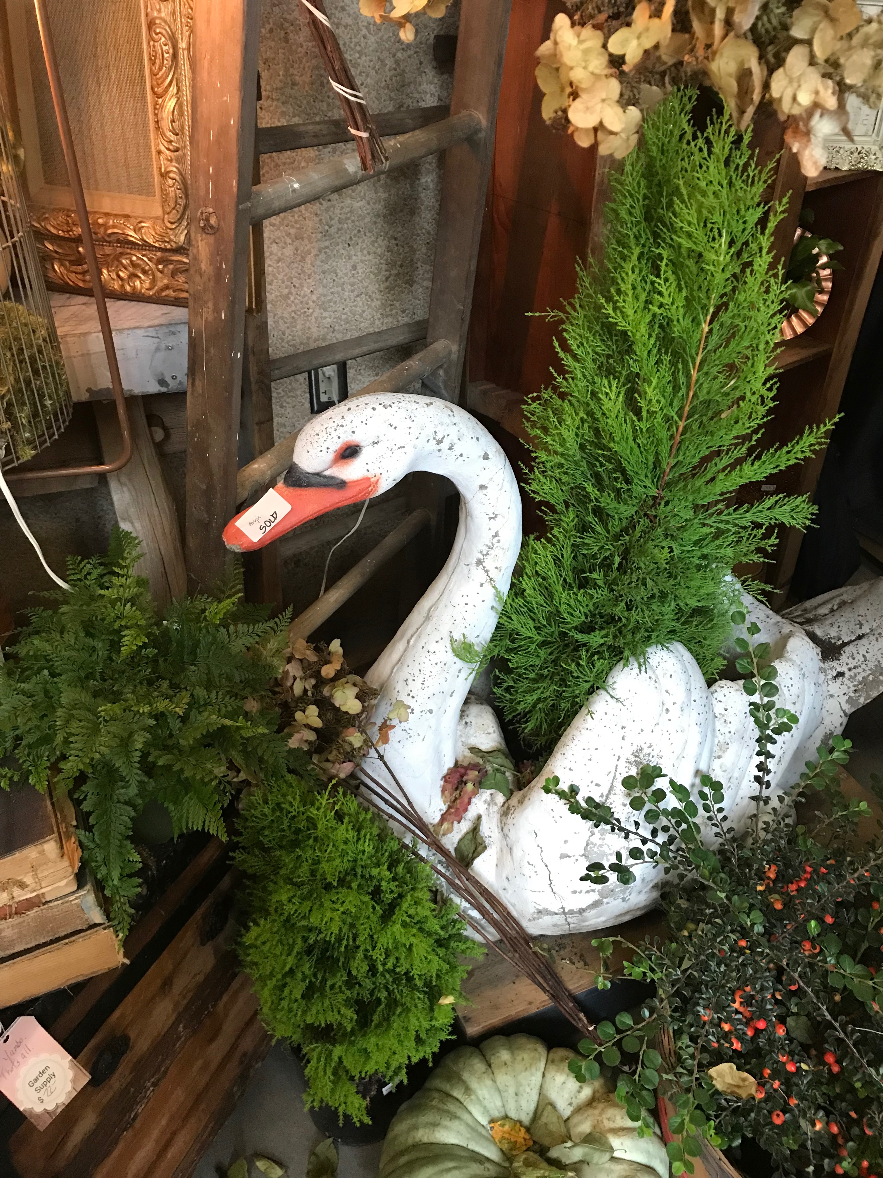 swan with greenery